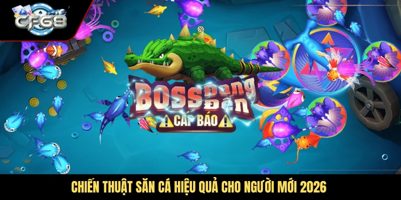 Chiến thuật săn cá hiệu quả cho người mới 2026
