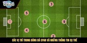 Các Vị Trí Trong Bóng Đá