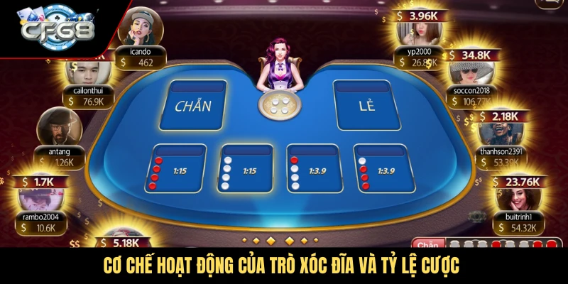 Cơ chế hoạt động của trò xóc đĩa và tỷ lệ cược