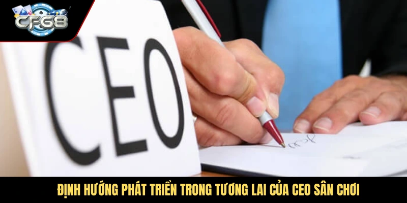 Định hướng phát triển trong tương lai của CEO sân chơi